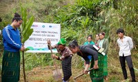 La Banque Mondiale aide le Vietnam à s’adapter au changement climatique